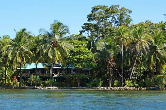 Waterfront house with tropical garden