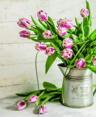 Tulips on rustic wooden background