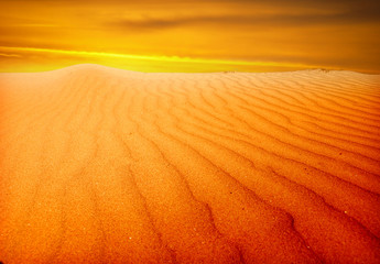 Fototapeta premium Sand dunes at sunset in the Sahara Desert