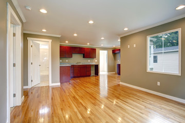 NEwly remodeled kitchen and living room.