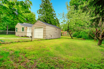 Old small fixer-upper house. Backyard view