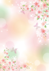 Naklejka na ściany i meble 桜と蝶