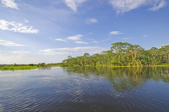 Sunny Day On A Blackwater River