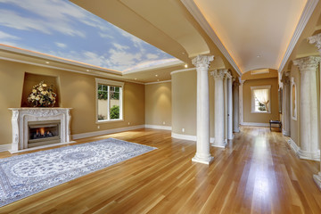Luxury house interior. Living room with column