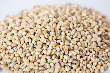 Dry bean and nut