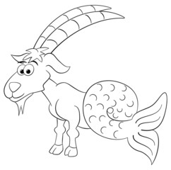Sternzeichen Steinbock