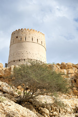 Tower Wadi Shab