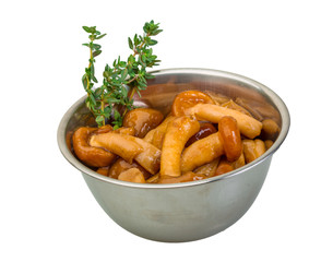 Armillaria