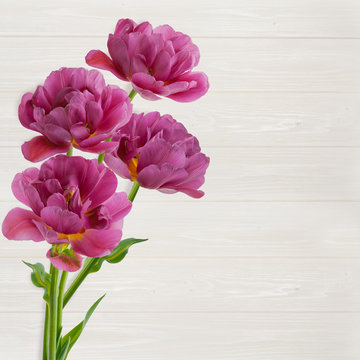 Beautiful bouquet of  tulips on white wooden background