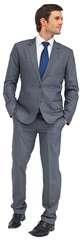 Handsome businessman in grey suit