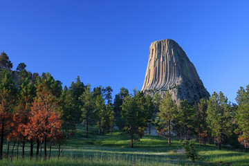 Fototapeta premium Devil's tower