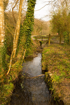 Tehidy Country Park Cornwall England UK near Camborne