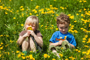 boy giving flowers for a girl