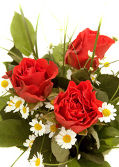 three red roses with green leaves, and chamomile