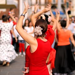 dancers expert and Spanish dance - obrazy, fototapety, plakaty