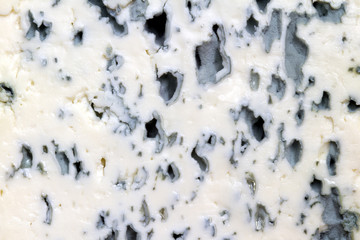 Blue cheese background texture closeup