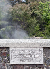 Rotorua hot spring Government Park NZ
