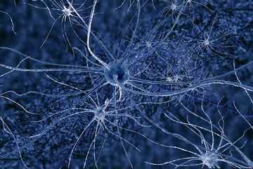 digital illustration neuronsl