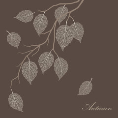 Beautiful illustration of transparent  leaves