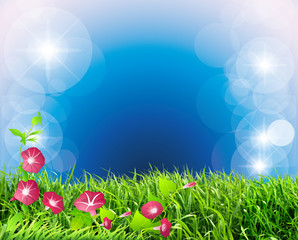 Fototapeta premium Время года. Лето