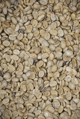 Green Coffee Beans - Nutrient Value And Antioxidant Content