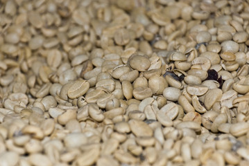 Coffee - Green Coffee Beans - Backgrounds And Textures