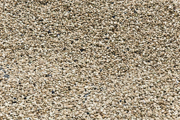 Coffee - Green Coffee Beans - Backgrounds And Textures