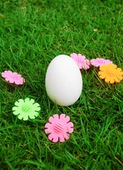 White egg on the green grass