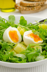 Salad with rocket salad, potatoes and eggs