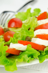 Lettuce salad with tomatoes and mozzarella
