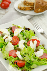 Lettuce salad with tomatoes and mozzarella