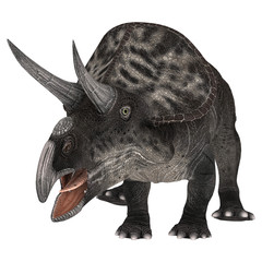 Dinosaur Zuniceratops
