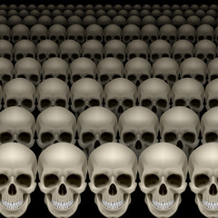Rows of skulls