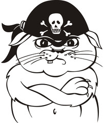 Pirate cat