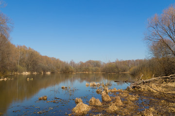 lake in early spring