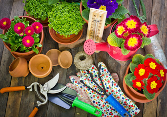 Obraz na płótnie Canvas Gardening tools and flowers