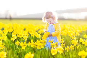 Beautiful curly toddler girl in a blue dress walking on field