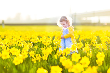 Fototapeta na wymiar Little beautiful curly toddler girl playing in field of flowers