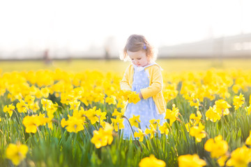 Fototapeta premium Little toddler girl in a blue dress playing in a meadow