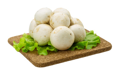 Raw Champignons