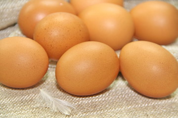 Eggs