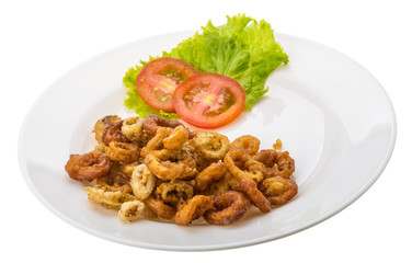 Fried squid rings