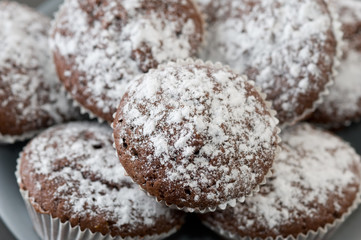 tasty muffin cakes sprinkled with powdered sugar homemade