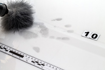 Fingerprint