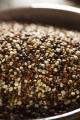 Organic Colorful Raw Quinoa