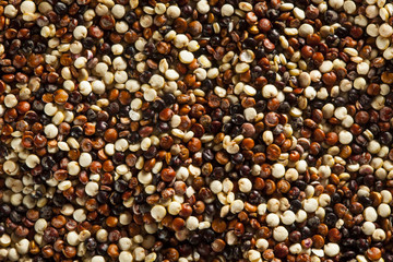 Organic Colorful Raw Quinoa