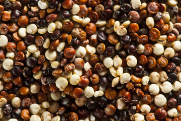 Organic Colorful Raw Quinoa