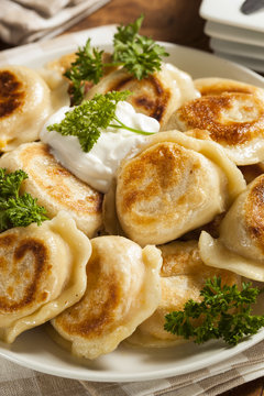 Fototapeta Homemade Polish Pierogis with Sour Cream
