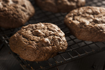 Homemade Double Chocolate Chip Cookies