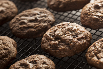 Homemade Double Chocolate Chip Cookies